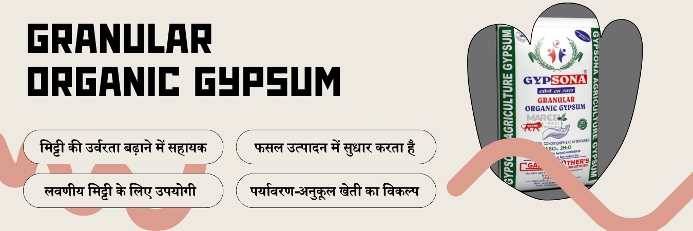 Granular Organic Gypsum