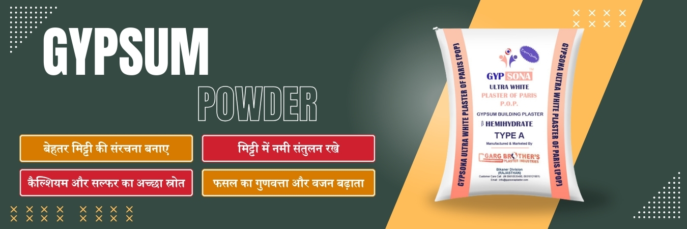 Gypsum Powder